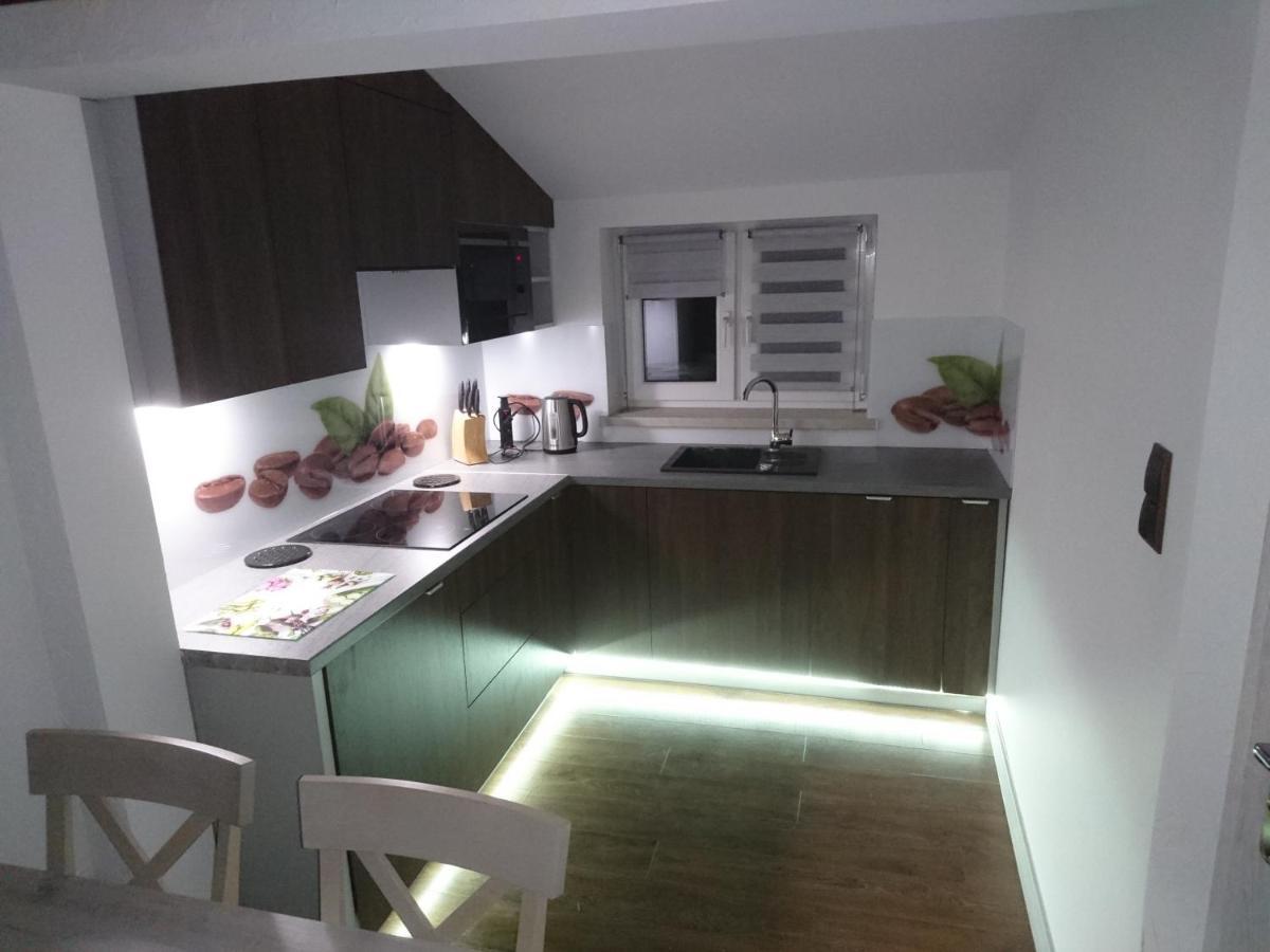 Apartament Elbrus Czyrna Szczyrk Wypozyczalnia Rowerow E-Bike Czyrna Szkola Narciarska & Wypozyczalnia Ski Serwis Buitenkant foto