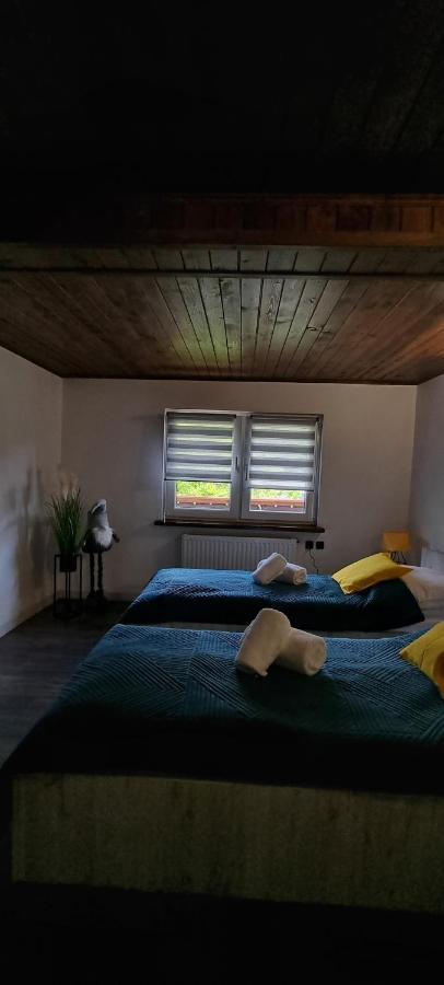 Apartament Elbrus Czyrna Szczyrk Wypozyczalnia Rowerow E-Bike Czyrna Szkola Narciarska & Wypozyczalnia Ski Serwis Buitenkant foto